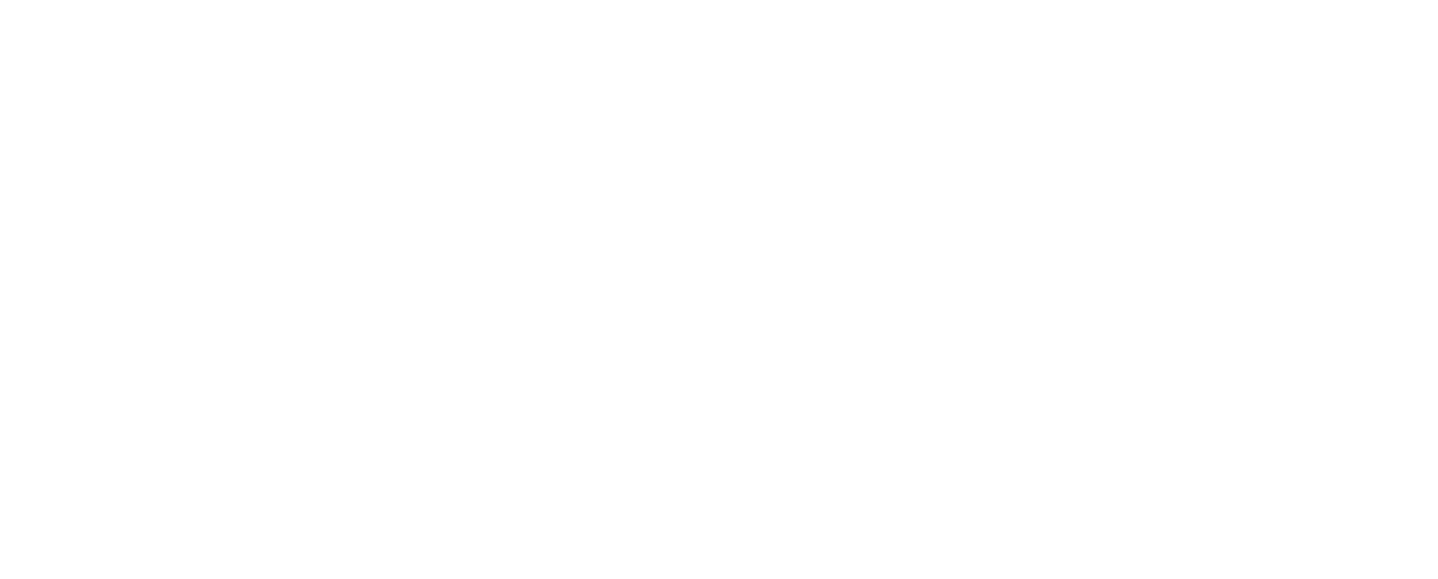 Flamingosis Merch Shop